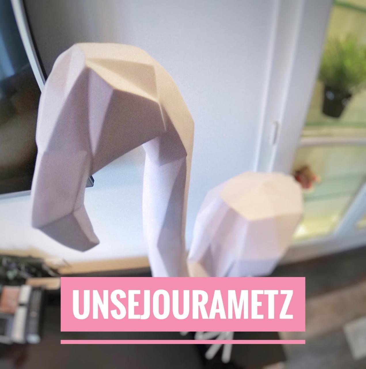 Unsejourametz-Fr Meubles Ossons Du T2 Au T4 Avec Parking, Apartment Ngoại thất bức ảnh